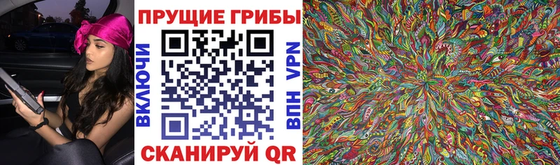 дарнет шоп Михайловка Псилоцибиновые грибы мицелий