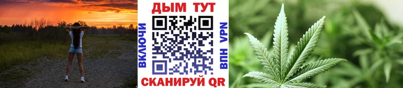 Конопля VHQ  как найти наркотики  блэк спрут рабочий сайт  Михайловка 